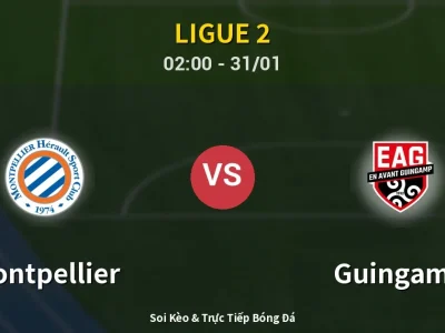 Kết Quả: Montpellier 3-1 Guingamp – Highlight & Bàn Thắng | Ligue 2