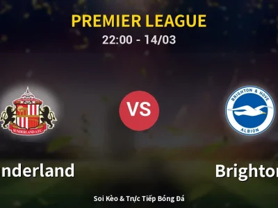 🔴 Trực Tiếp: Sunderland 0-0 Brighton – Link Xem Premier League (Full HD)