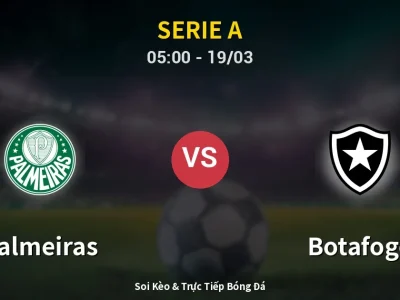 Kết Quả: Palmeiras 2-1 Botafogo – Highlight & Bàn Thắng | Serie A
