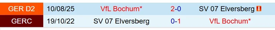 Nhận định Elversberg vs Bochum 19h30 ngày 251 (Hạng 2 Đức) 1